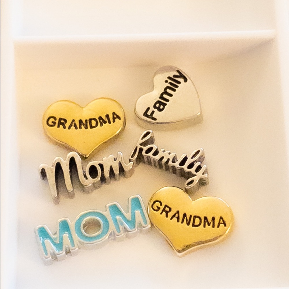 Origami Owl “Family” Themed Charms